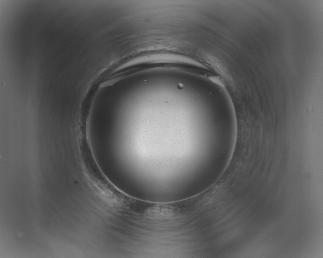 X0000070210354200606021301