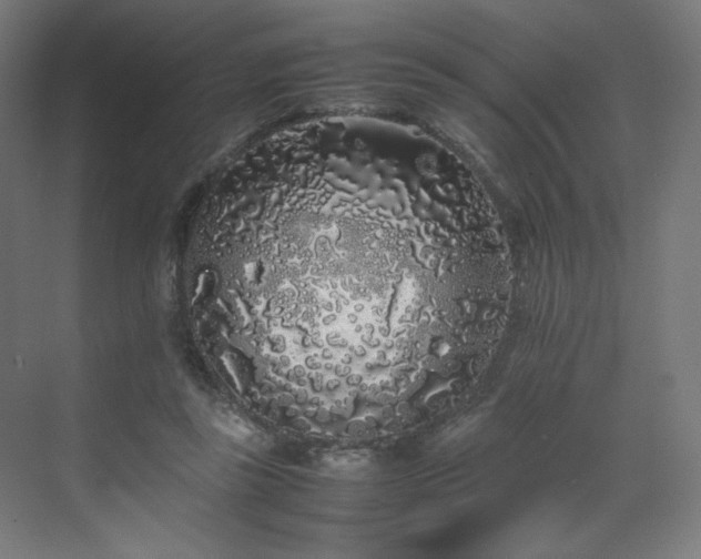 X0000070210355200606021301