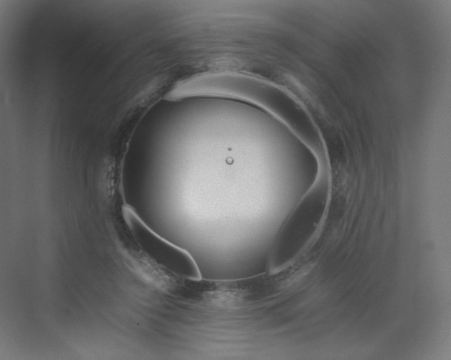 X0000070210356200606021301