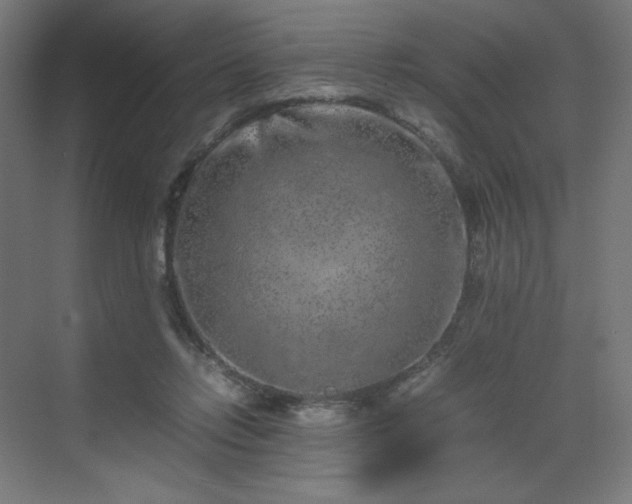 X0000070210358200606021301