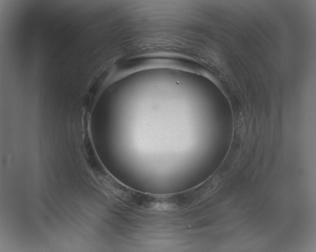 X0000070210360200606021301