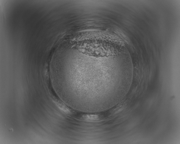 X0000070210361200606021301