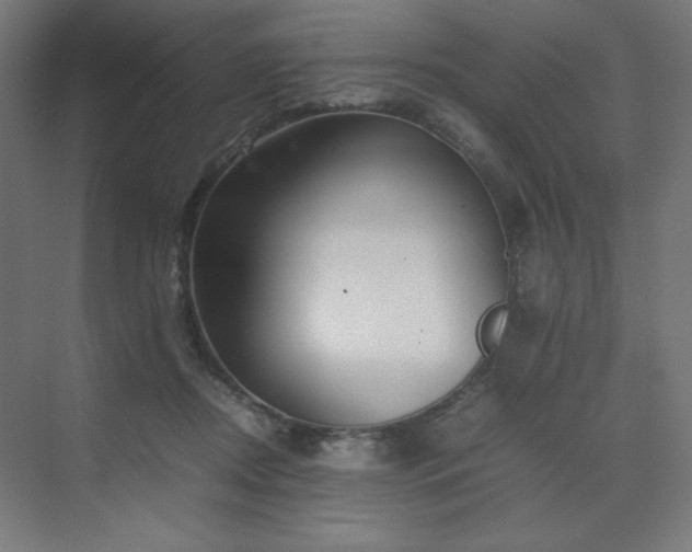 X0000070210362200606021301