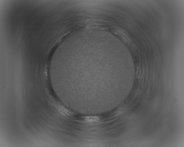 X0000070210363200606021301