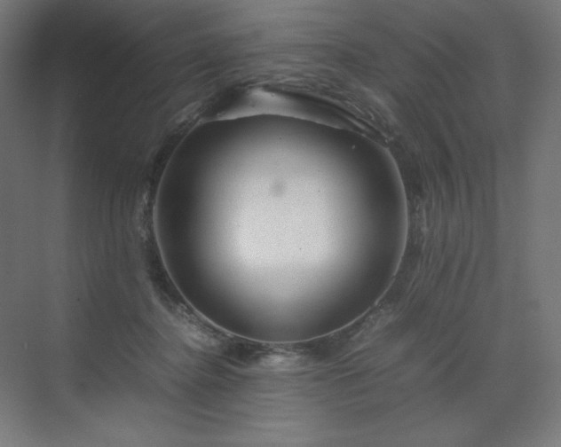 X0000070210364200606021301