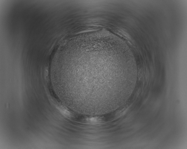 X0000070210365200606021301