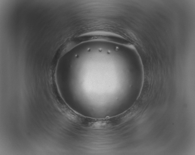 X0000070210366200606021301