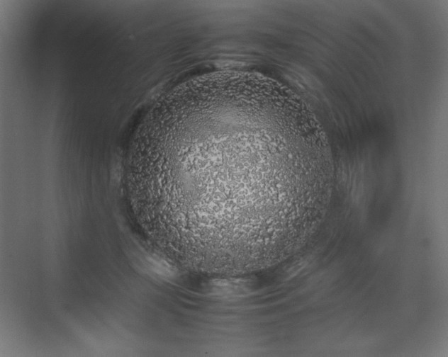 X0000070210367200606021301