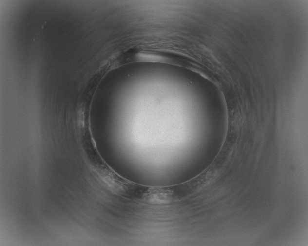 X0000070210368200606021301