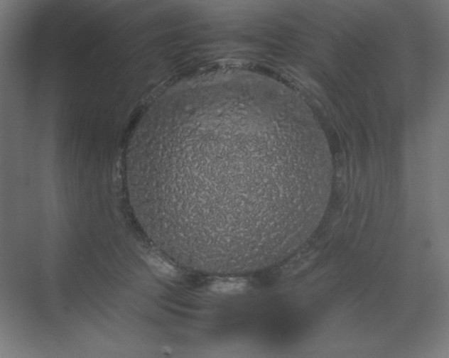 X0000070210369200606021301