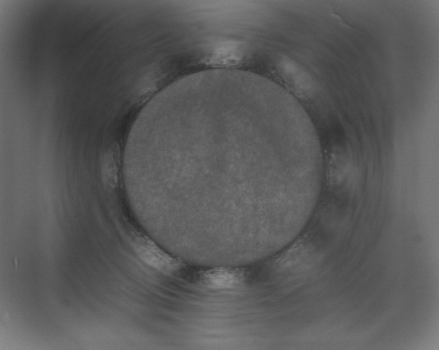 X0000070210370200606021301