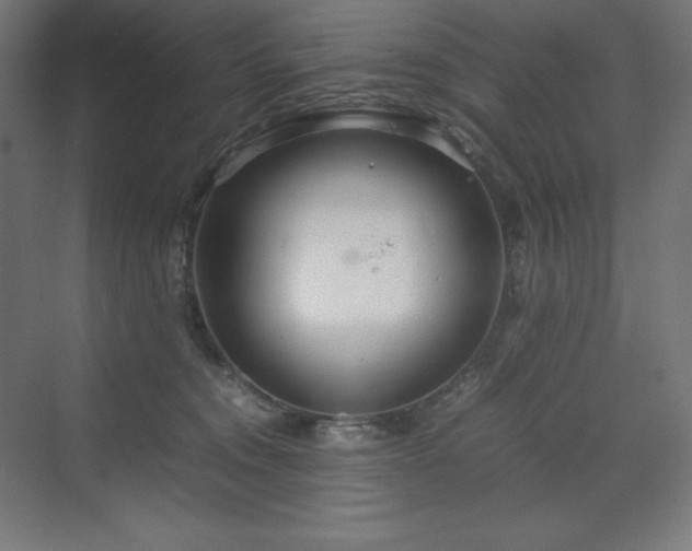 X0000070210372200606021301