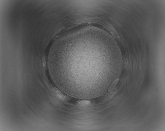 X0000070210374200606021301