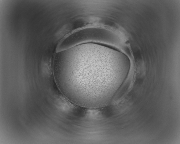 X0000070210376200606021301