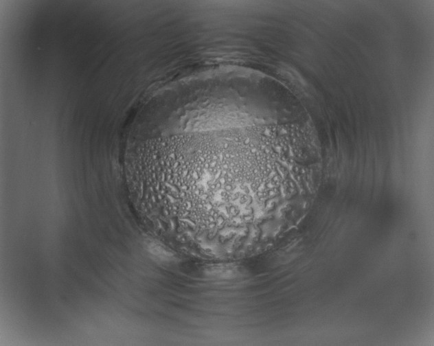 X0000070210377200606021301