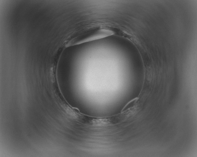 X0000070210378200606021301