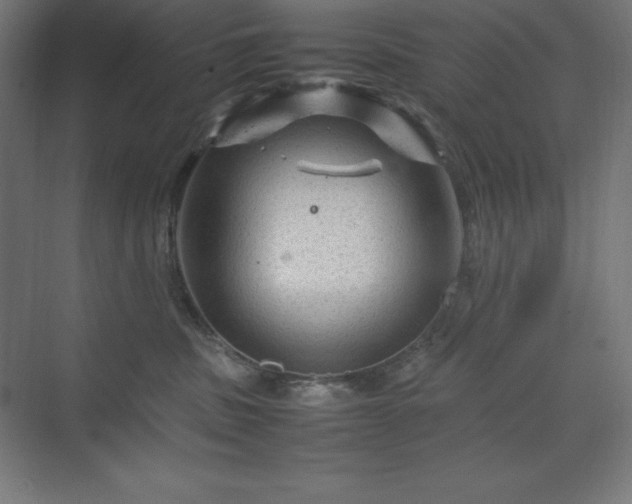 X0000070210379200606021301