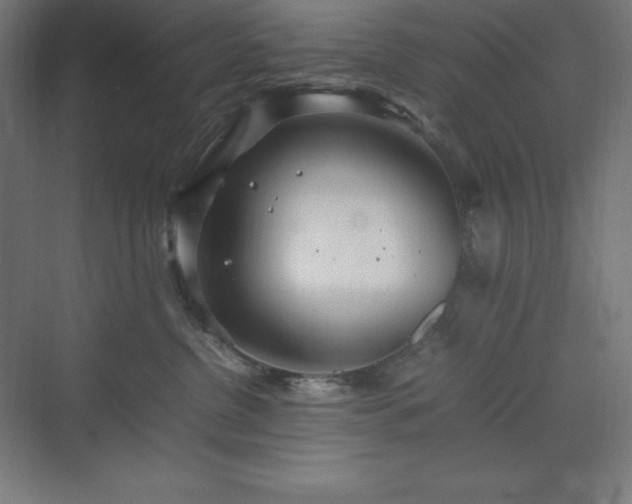 X0000070210380200606021301