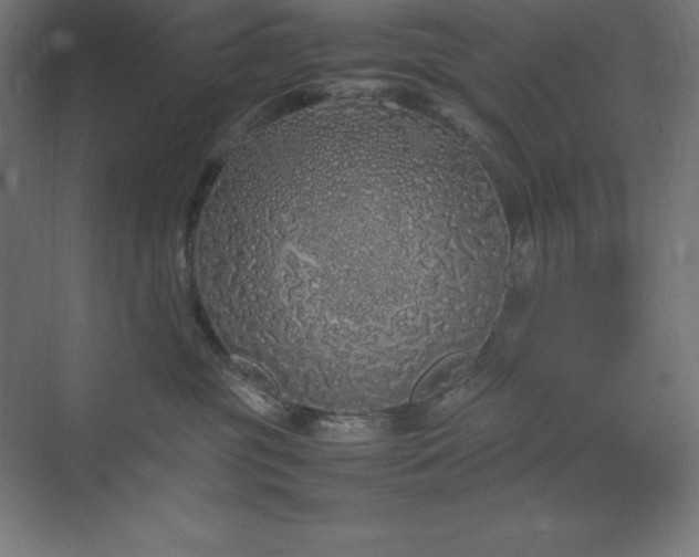 X0000070210381200606021301