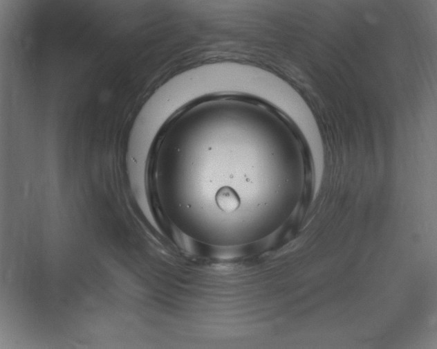 X0000070210382200606021301