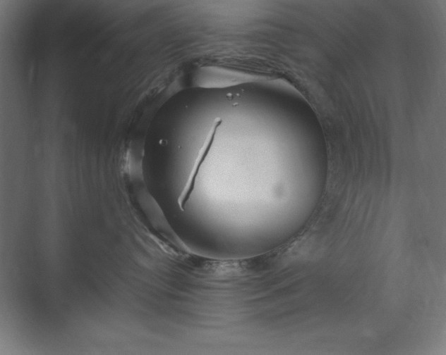 X0000070210384200606021301