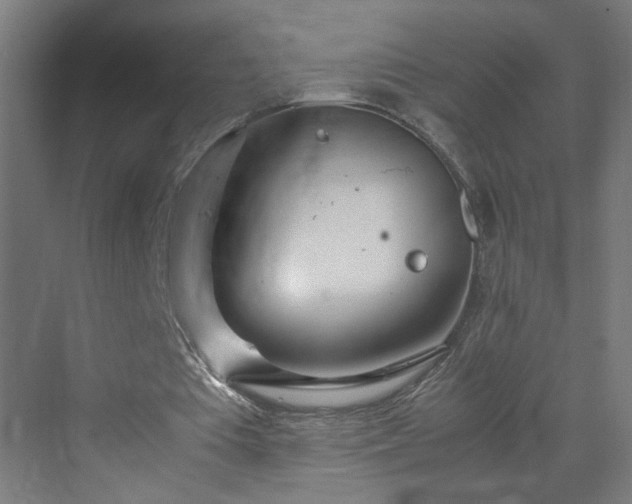 X0000070210385200606021301