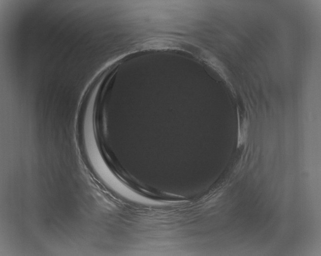 X0000070210387200606021301