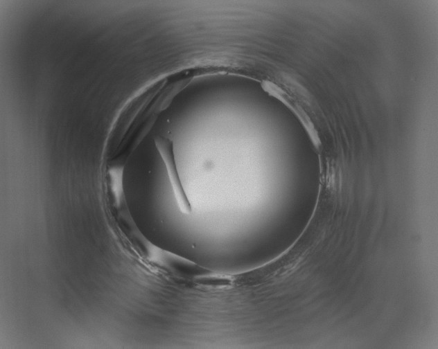 X0000070210388200606021301