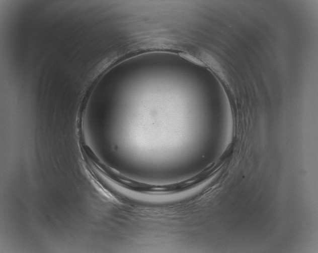 X0000070210389200606021301