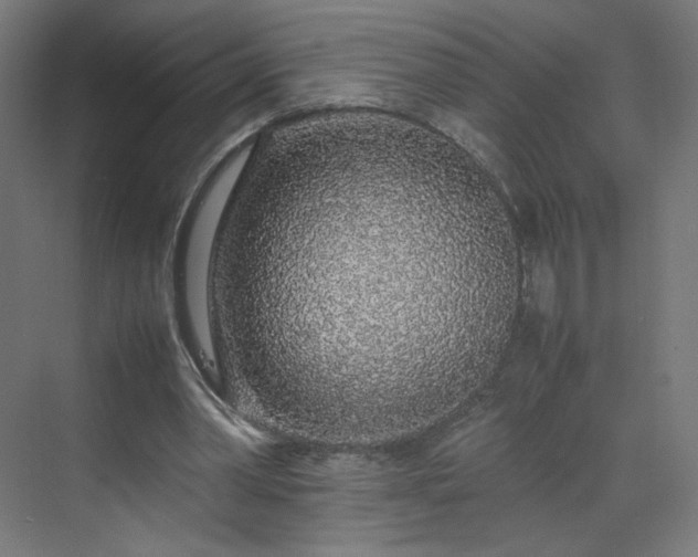 X0000070210390200606021301