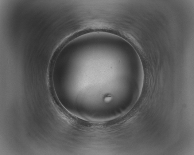 X0000070210391200606021301