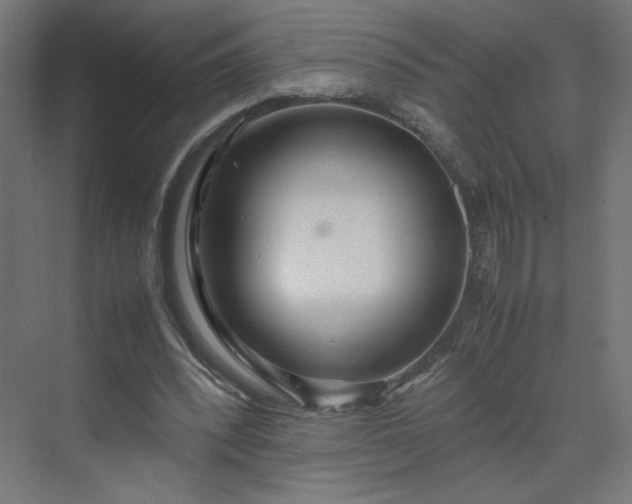 X0000070210392200606021301