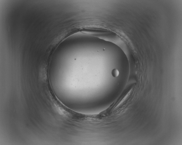 X0000070210393200606021300