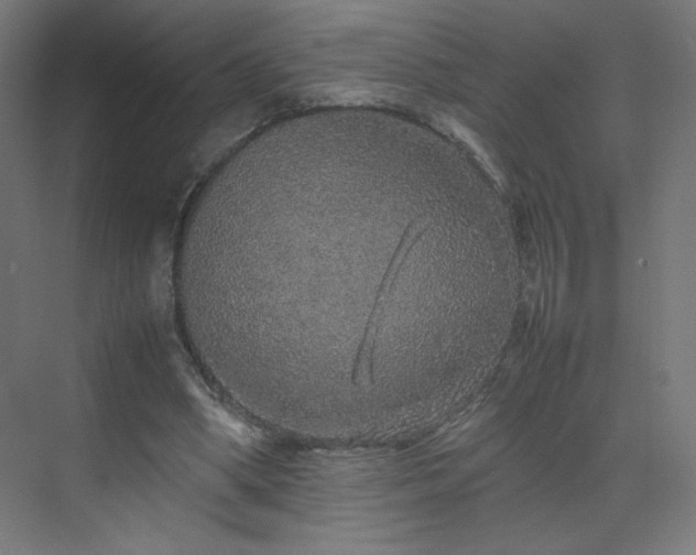 X0000070210394200606021300