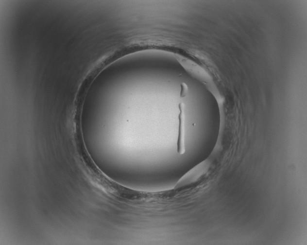 X0000070210395200606021300