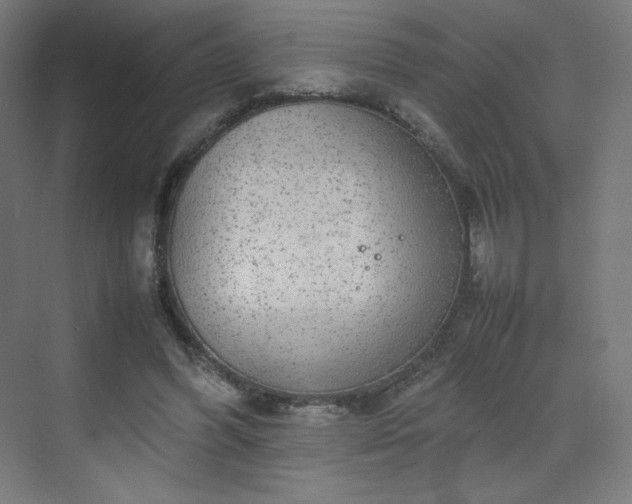 X0000070210396200606021300