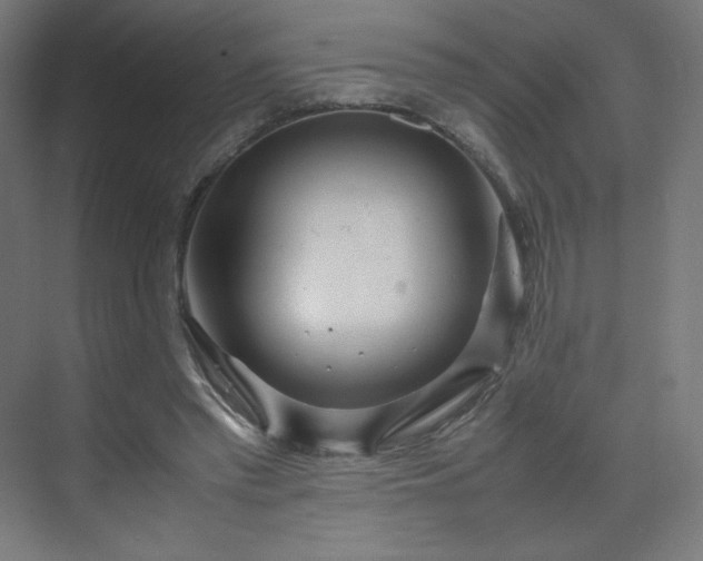 X0000070210397200606021300