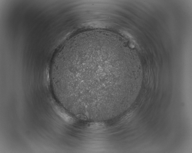 X0000070210398200606021300