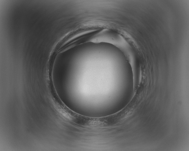 X0000070210399200606021300