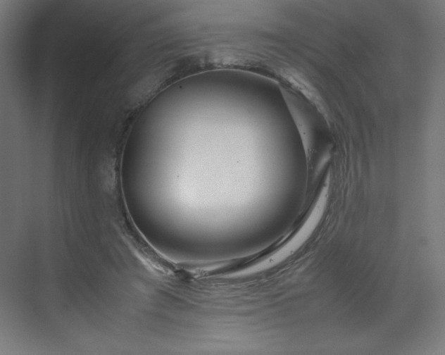 X0000070210401200606021300