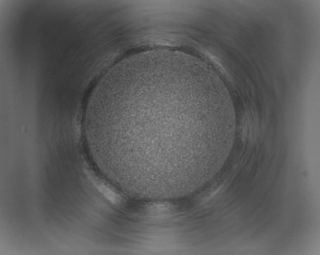 X0000070210402200606021300