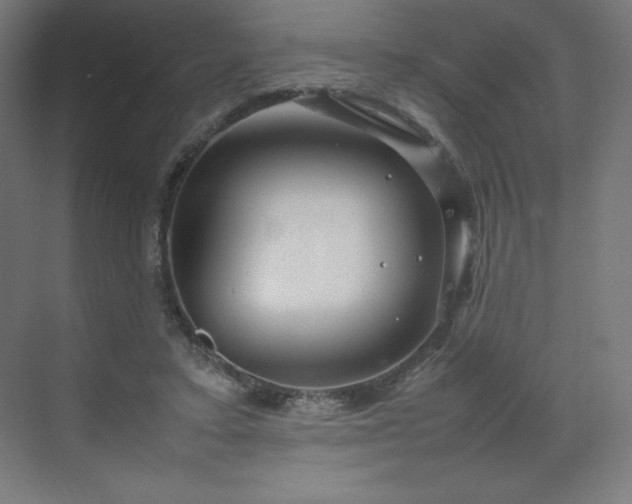 X0000070210403200606021300