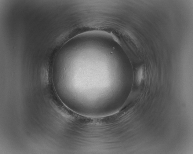 X0000070210404200606021300