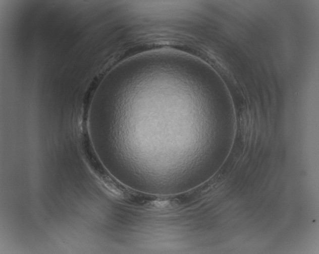 X0000070210406200606021300