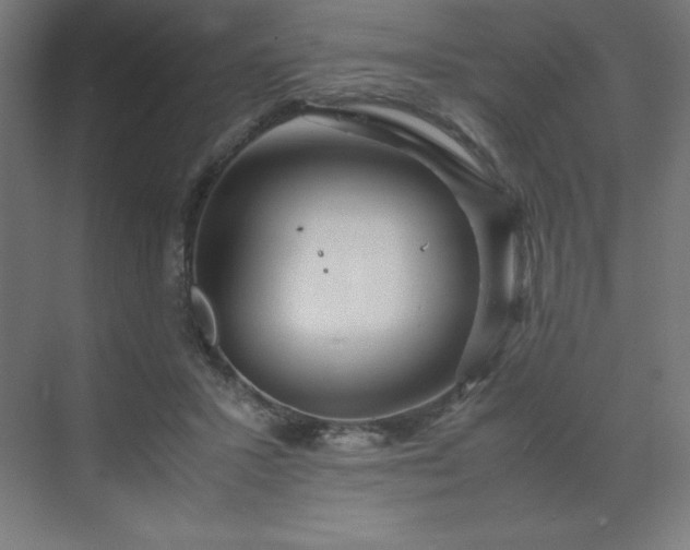 X0000070210407200606021300