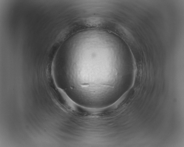 X0000070210408200606021300