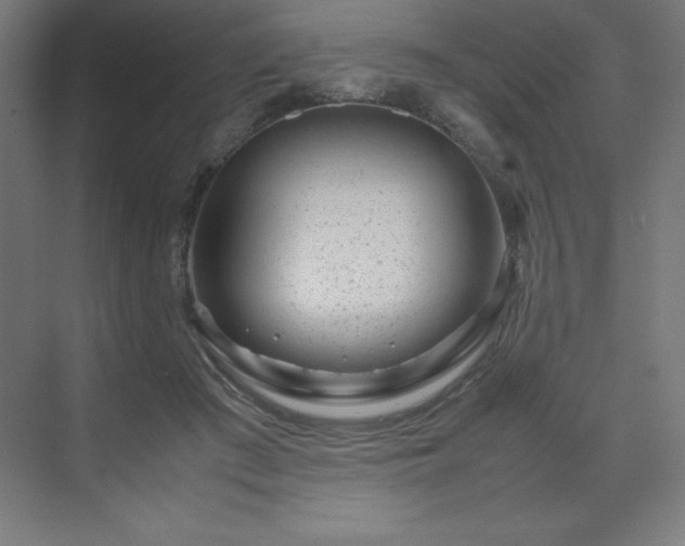 X0000070210409200606021300