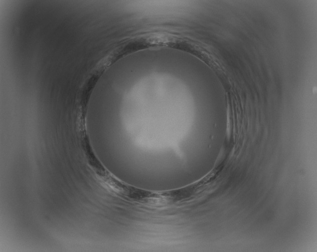 X0000070210411200606021300