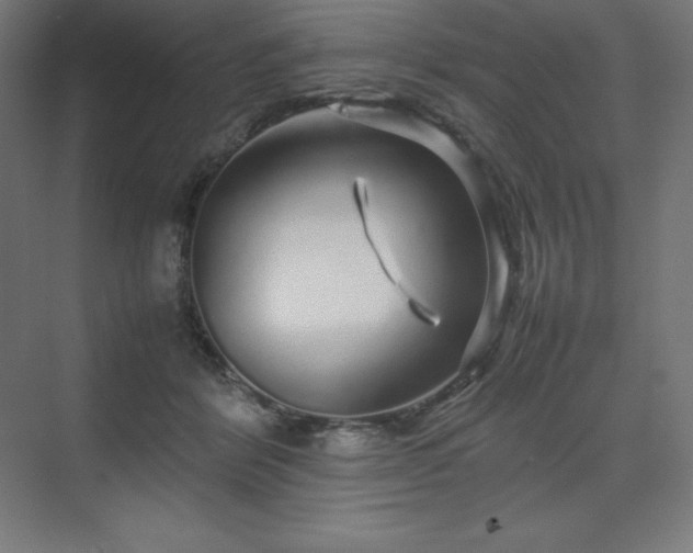 X0000070210412200606021300