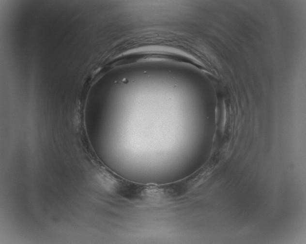 X0000070210413200606021300